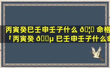 丙寅癸巳壬申壬子什么 🦆 命格「丙寅癸 🐵 巳壬申壬子什么命格啊」